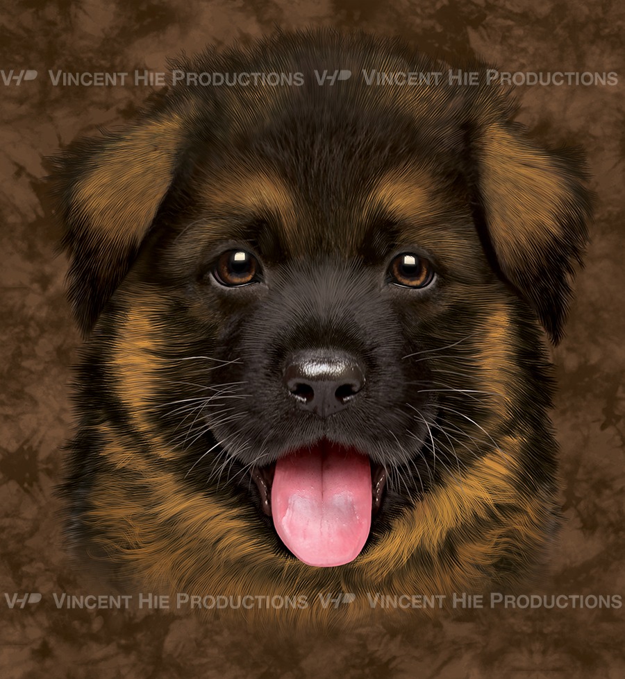 German Shepherd Puppy Big Face