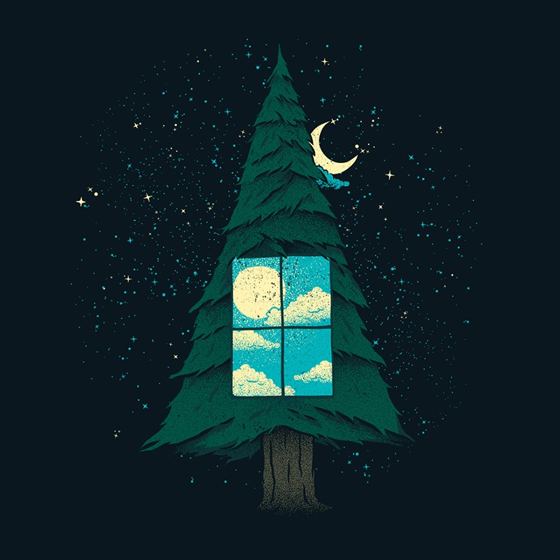 Go Outside To Look Inside