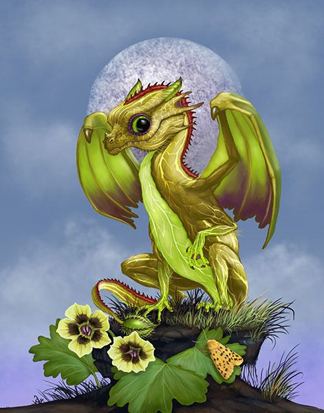 GOOSEBERRY DRAGON