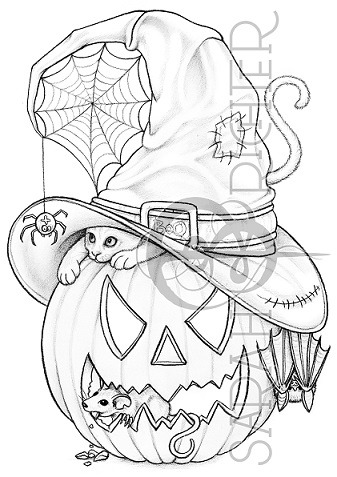 A Spooktacular Night