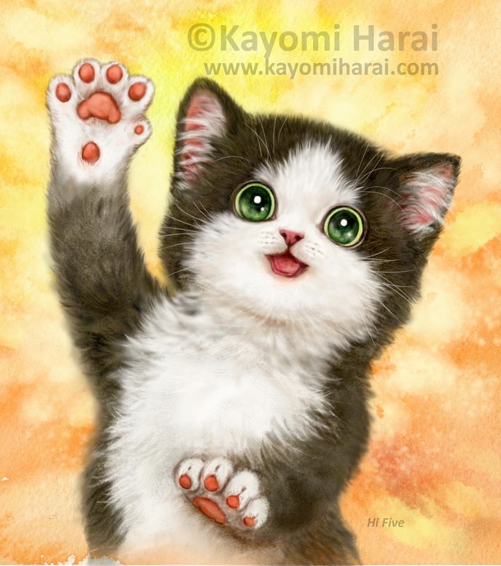 HiFive Cat W