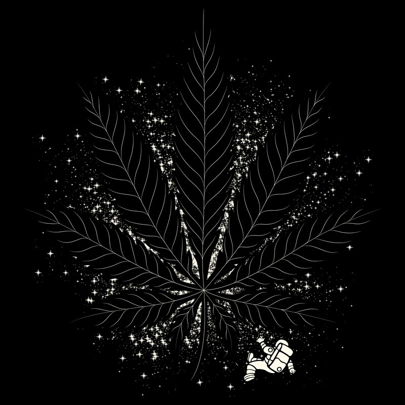 High Astronaut Cosmic Travel