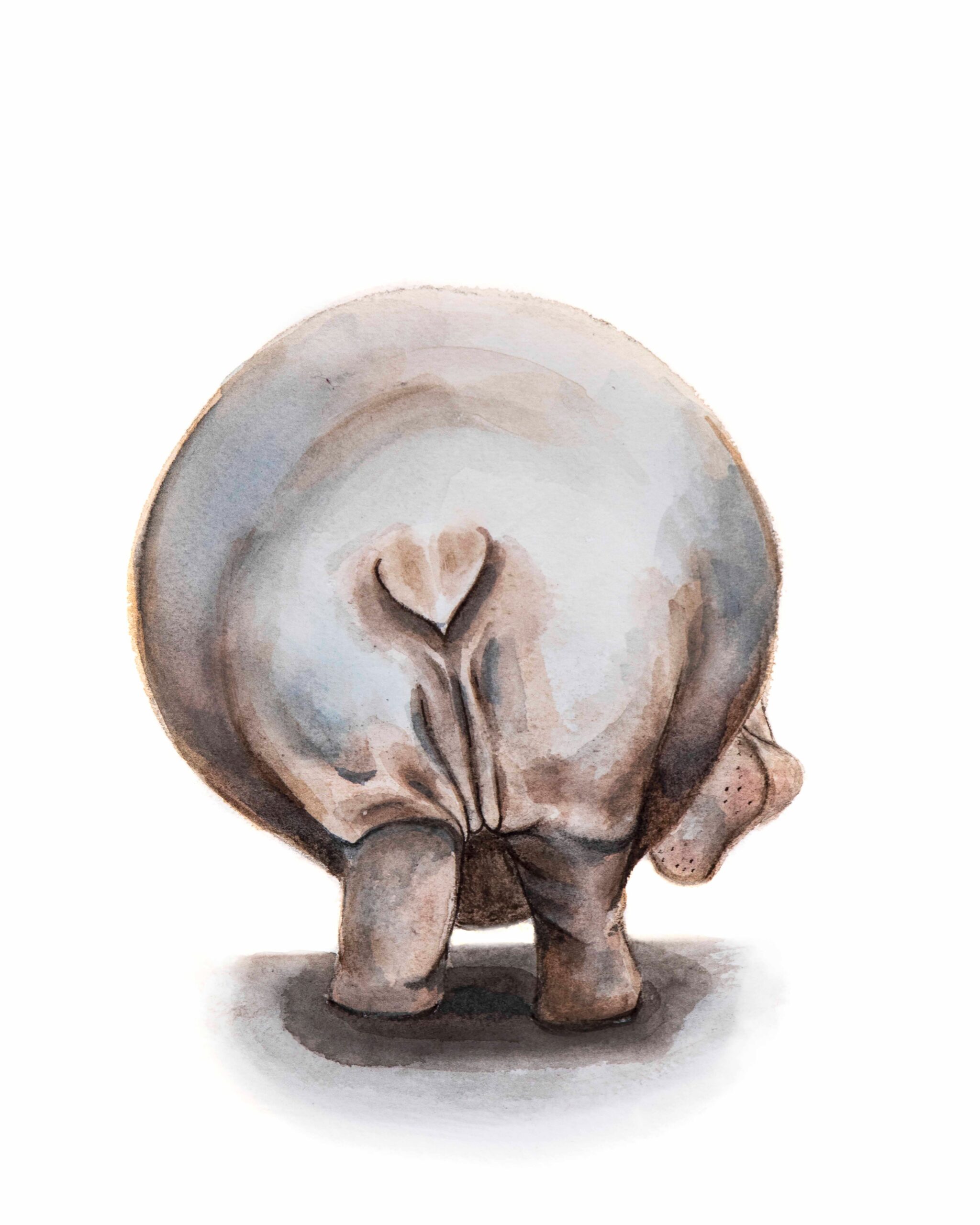 Hippo Butt