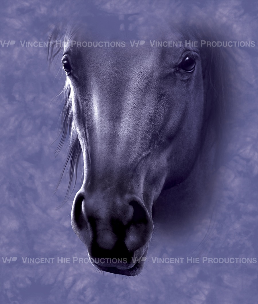 Horse Purple Big Face