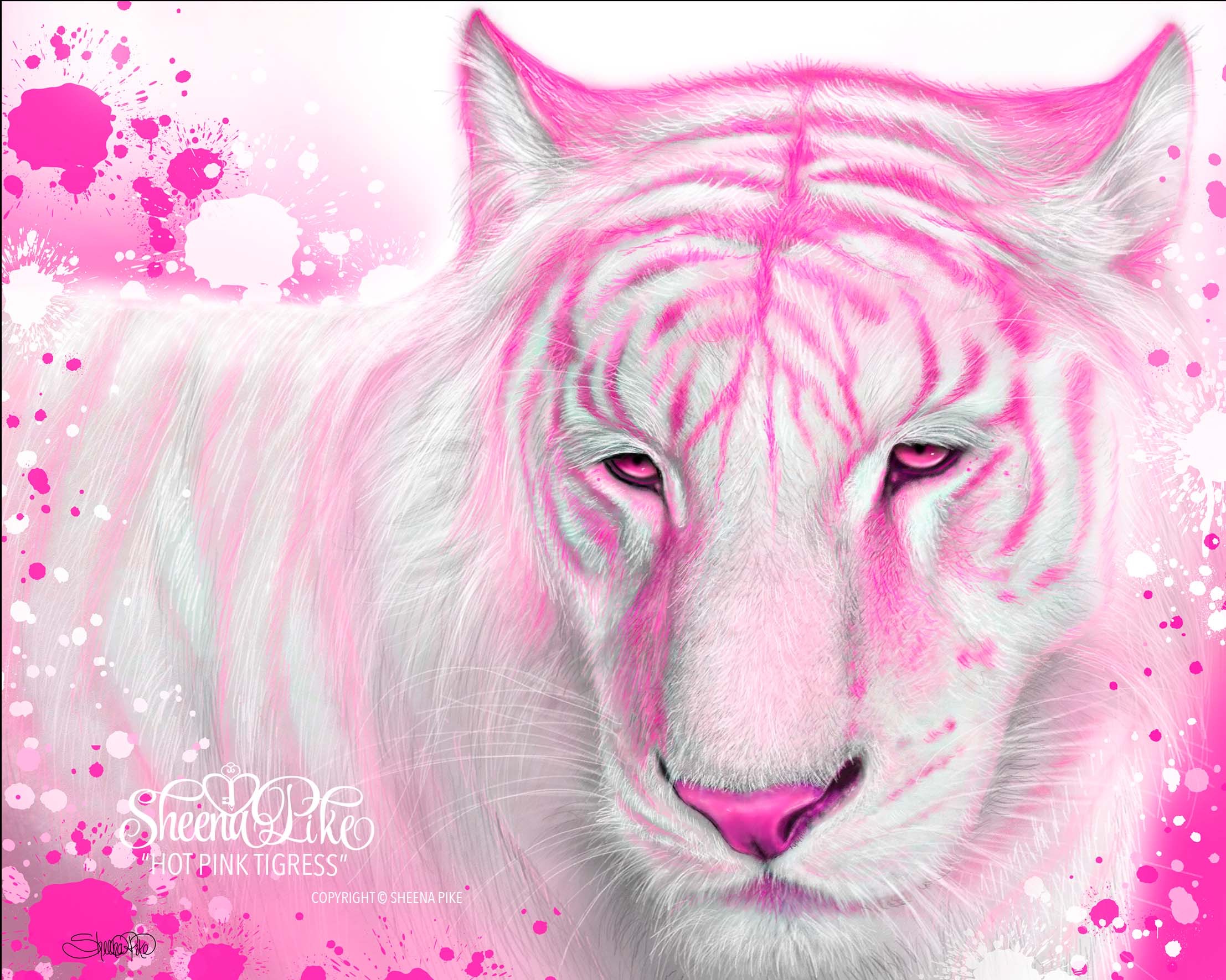 Hot Pink Tigress