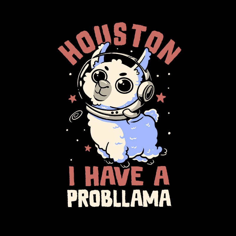 Houston I Have a Probllama