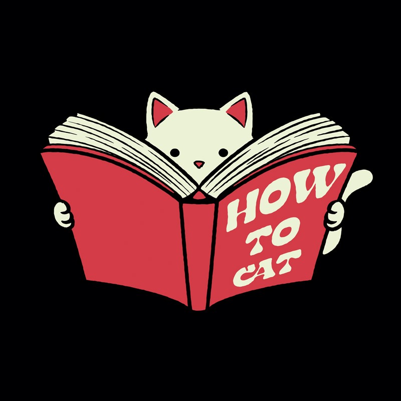 How To Cat Funny Kitten