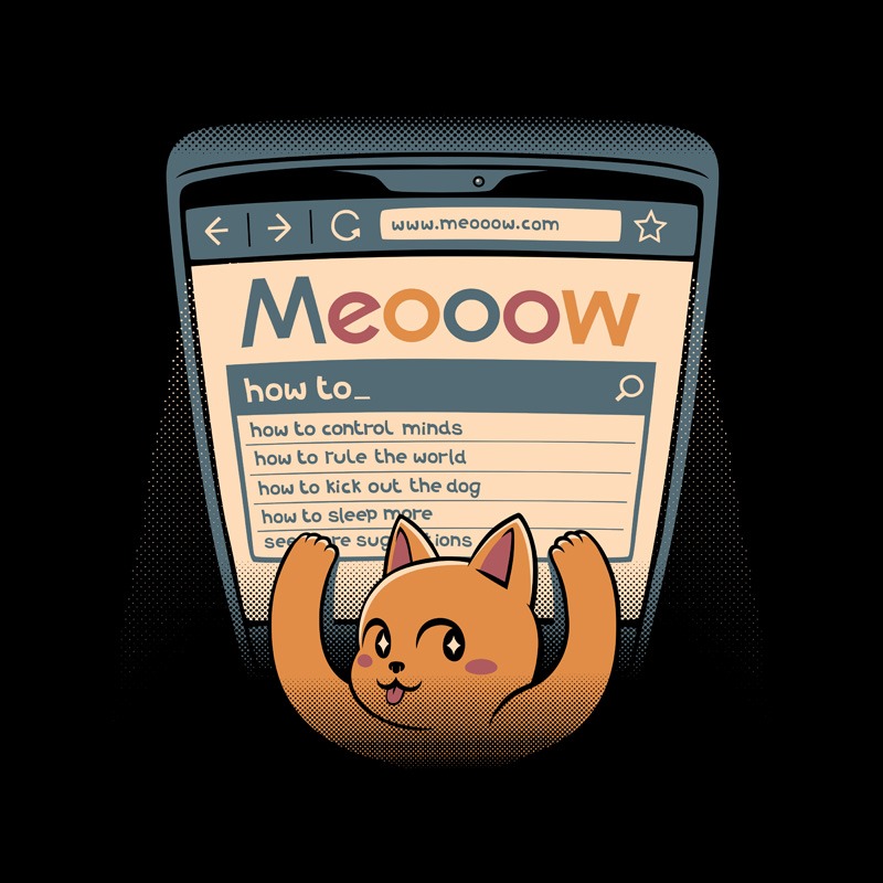 How To Rule The World Cat Using a Computer