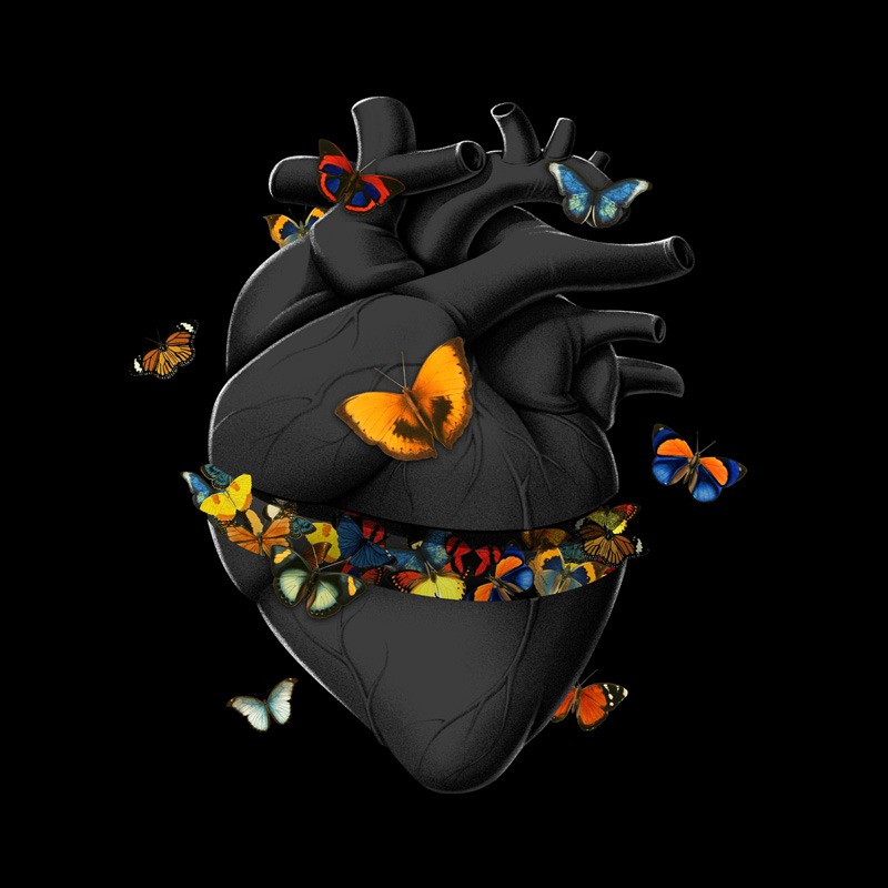 Hurting Black Heart Butterfly