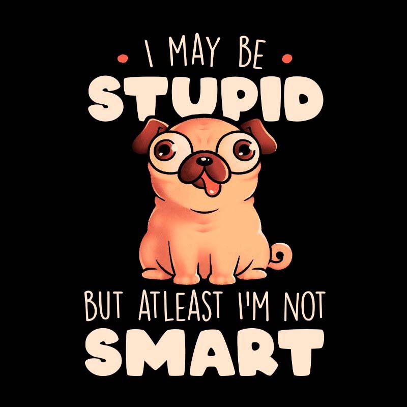 I May Be Stupid