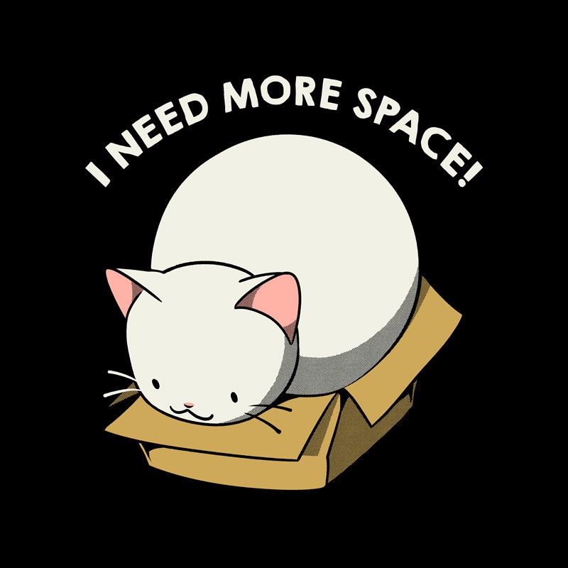 I Need More Space Cat
