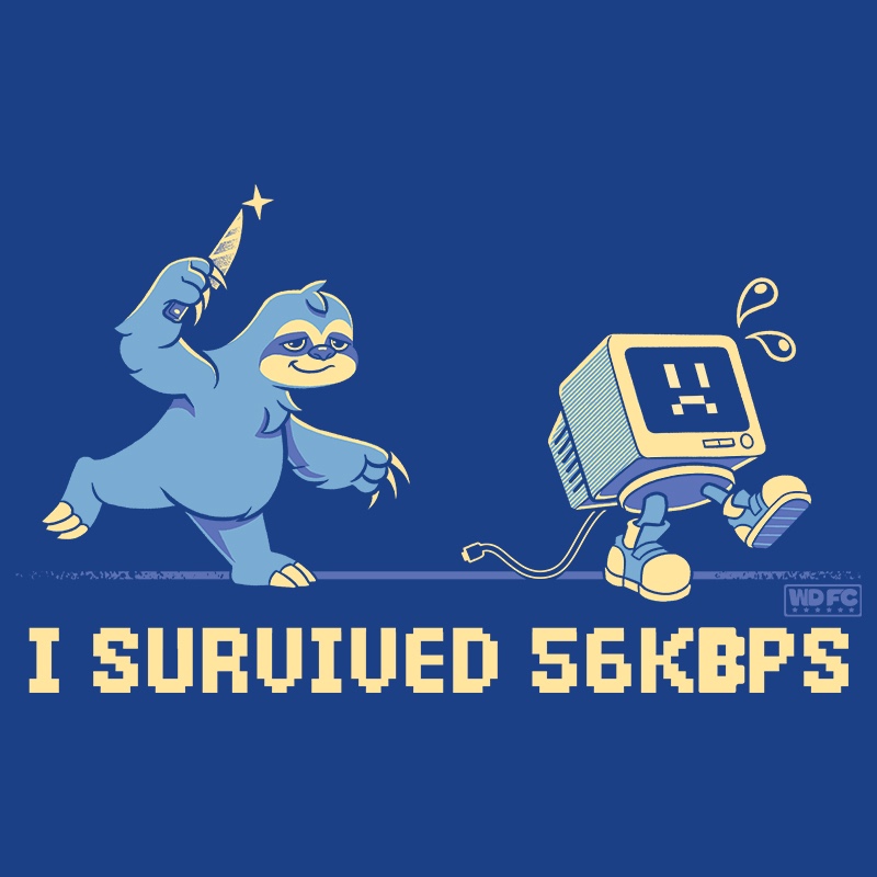 I Survived 56 kbps