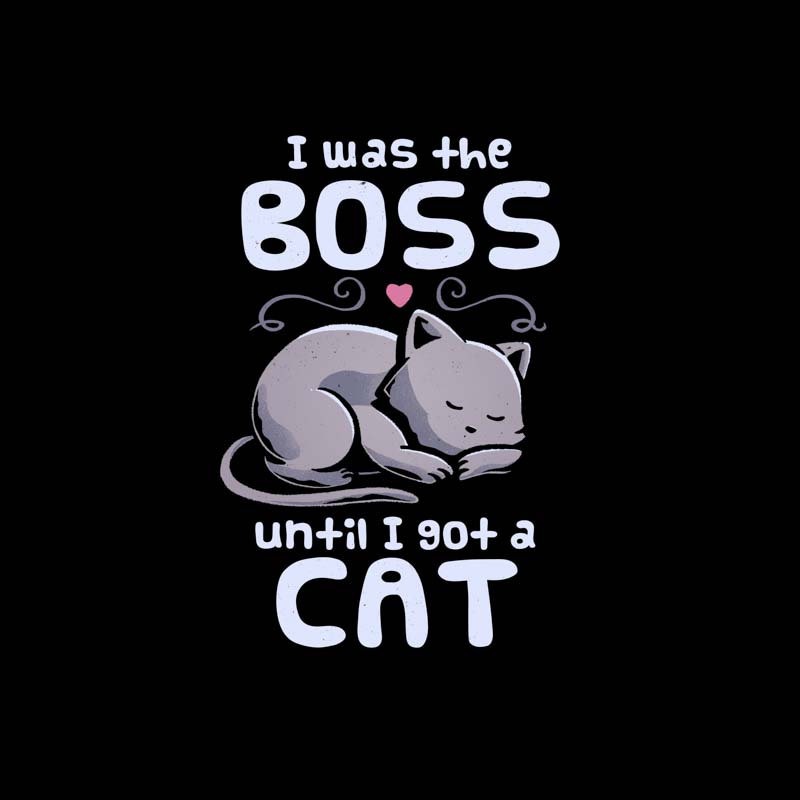 I Was The Boss