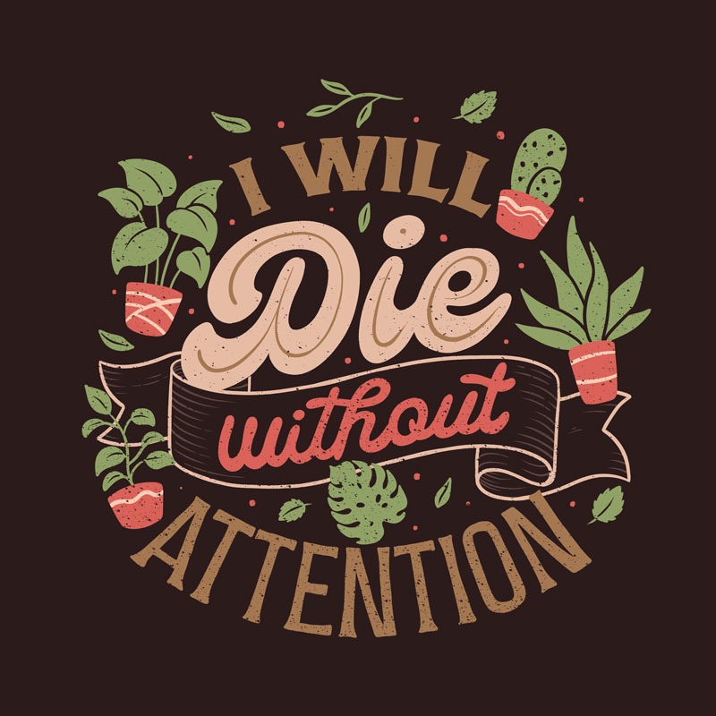 I Will Die Without Attention