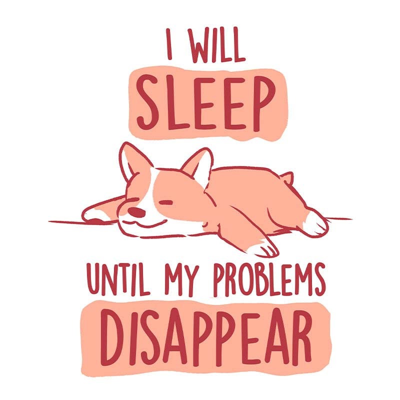 I Will Sleep Until My Problems Disappear