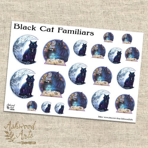 Black Cat Familiars