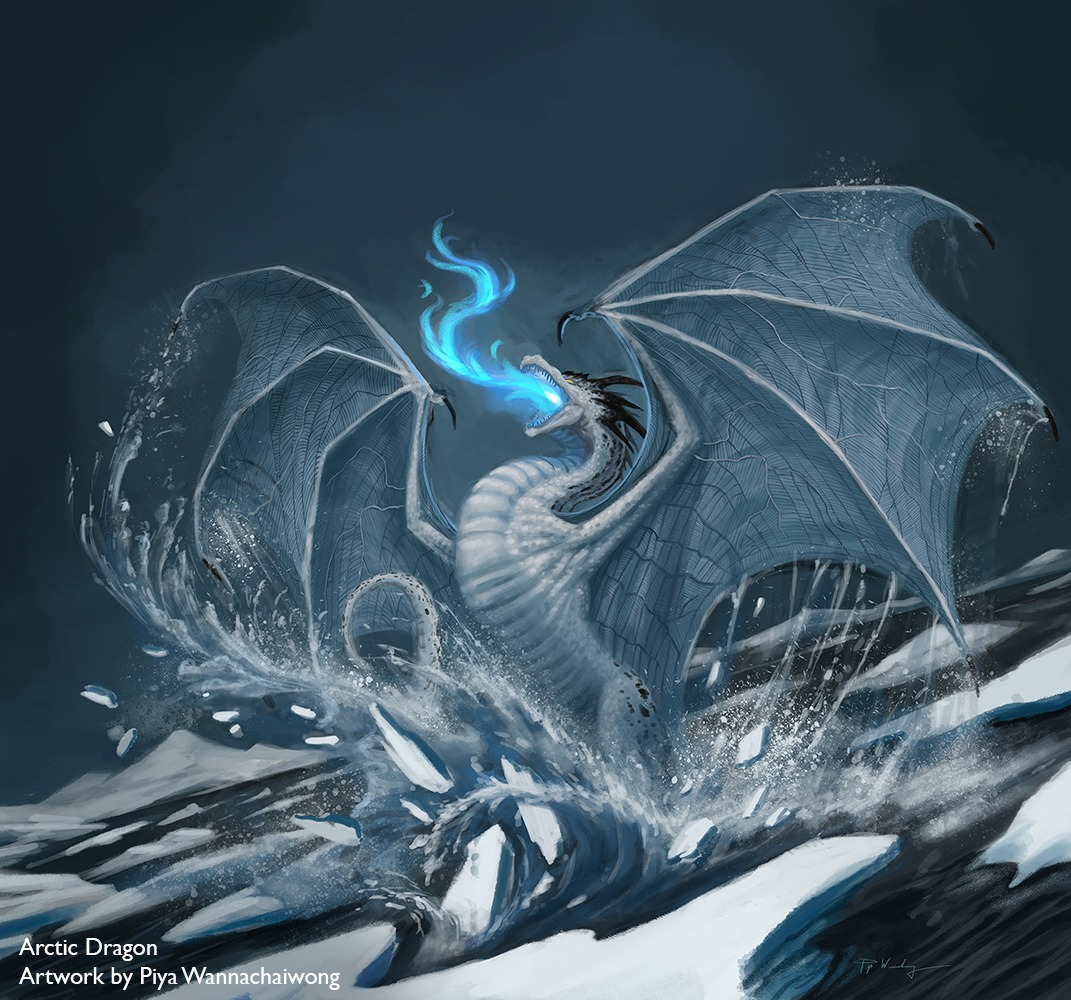 Arctic Dragon