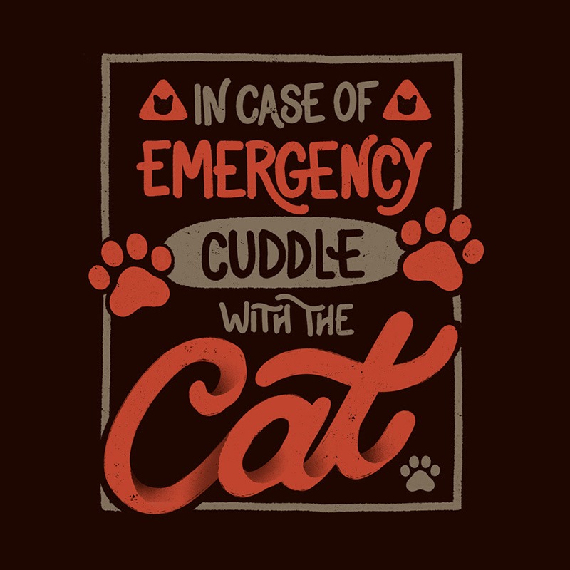 In Case Of Emergency Cuddle With The Cat