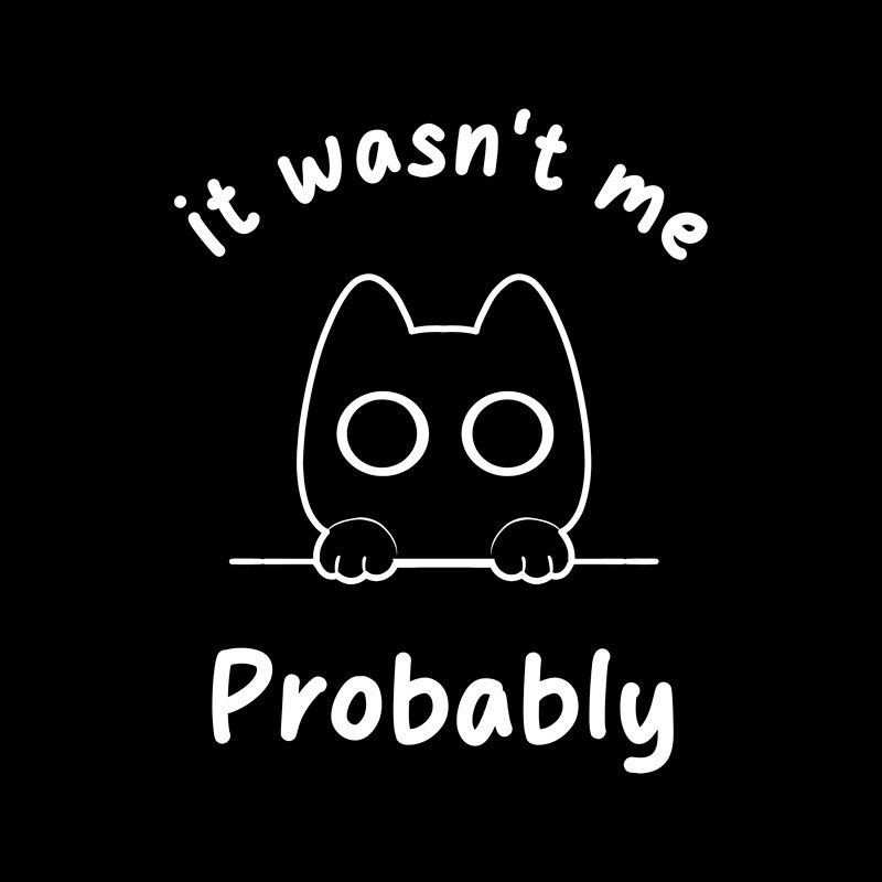 It Wasn’t me… Probably Funny Cat