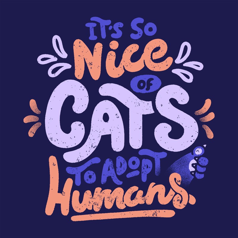 It’s So Nice Of Cats To Adopt Humans