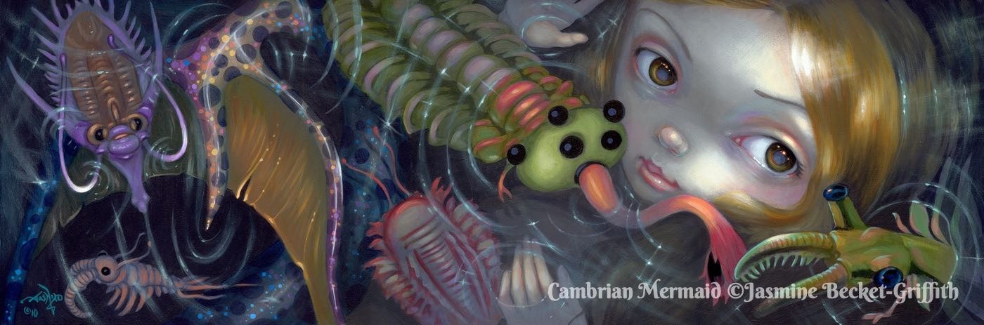 Cambrian Mermaid