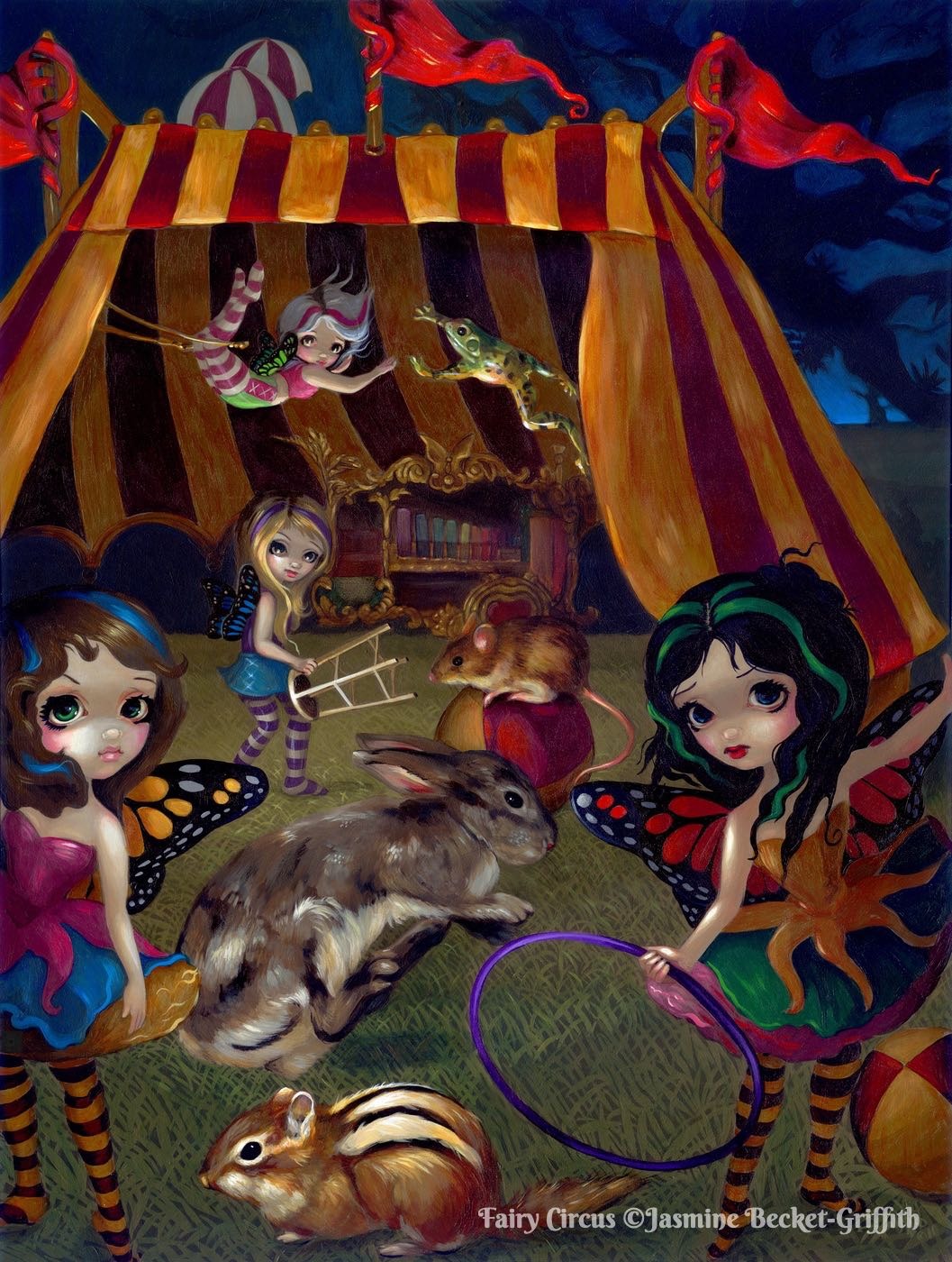 Fairy Circus