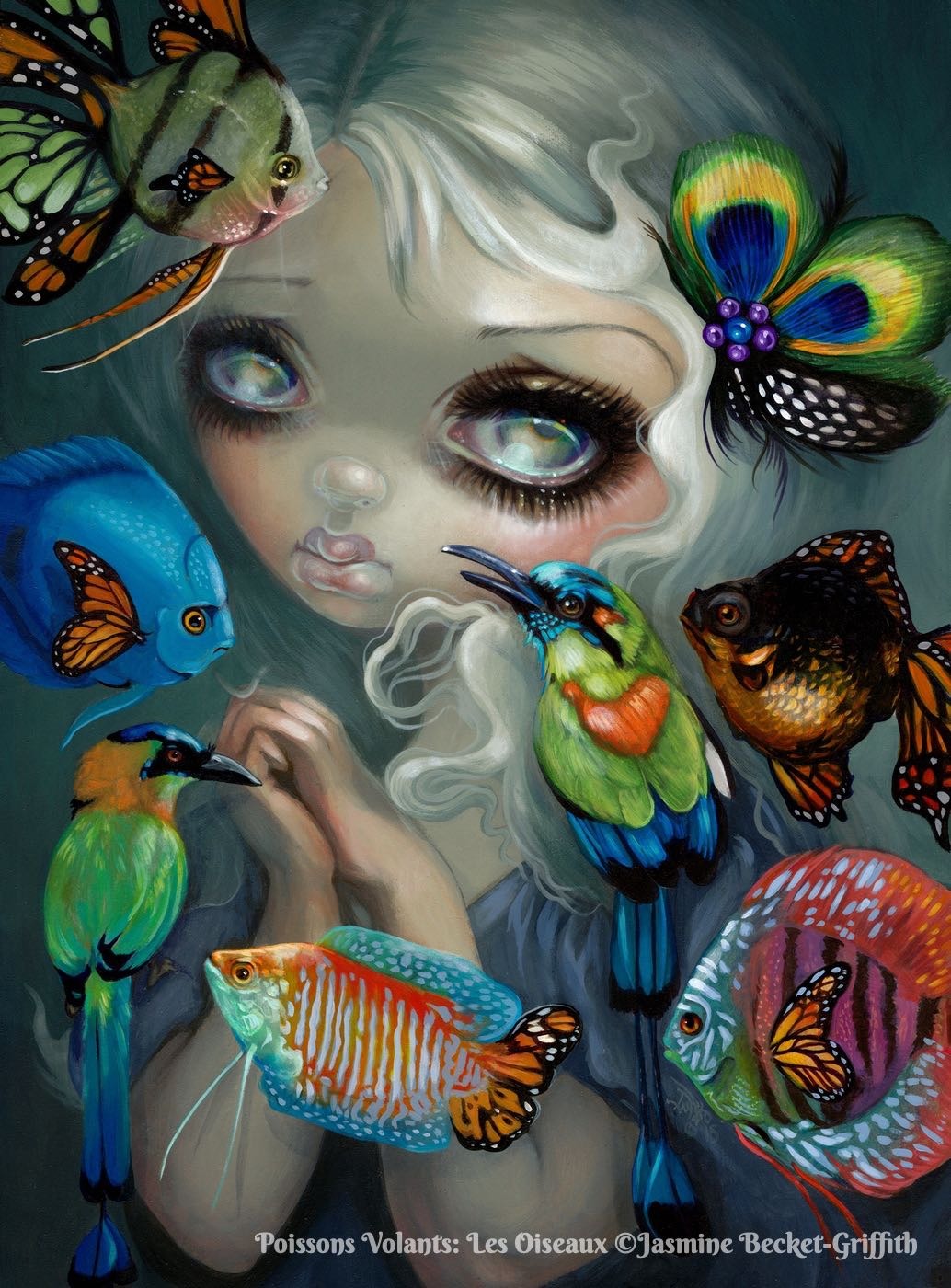 Poissons Volants Les Oiseaux