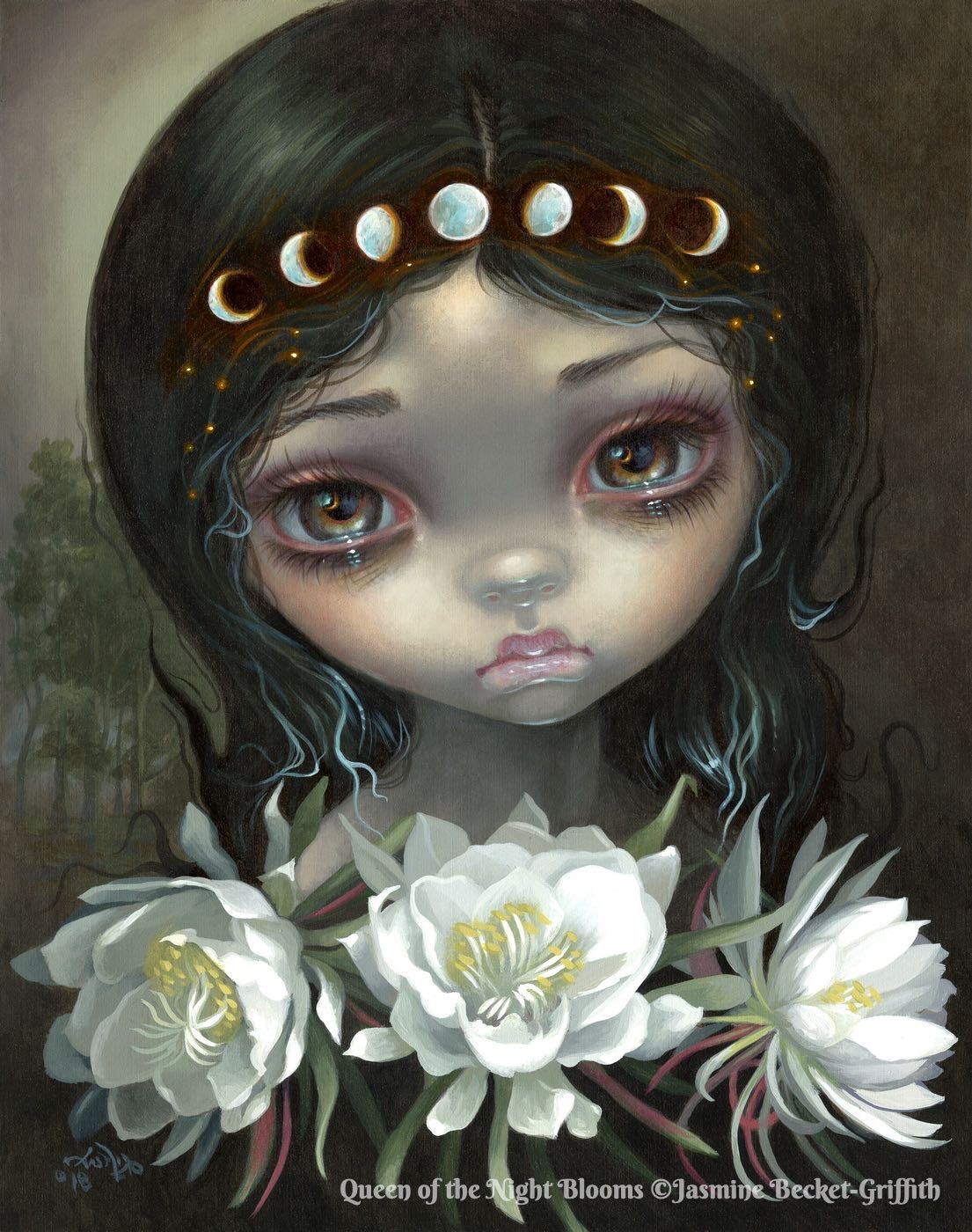 Queen Of The Night Blooms