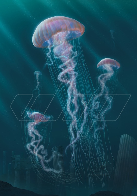 Jellyfish
