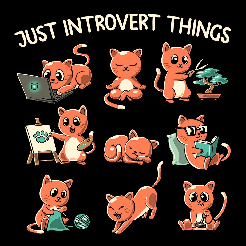 Just Introvert Things