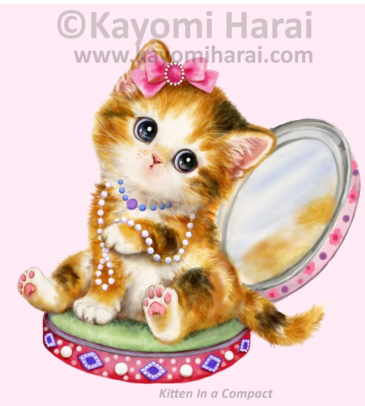 Kitten In A Compact