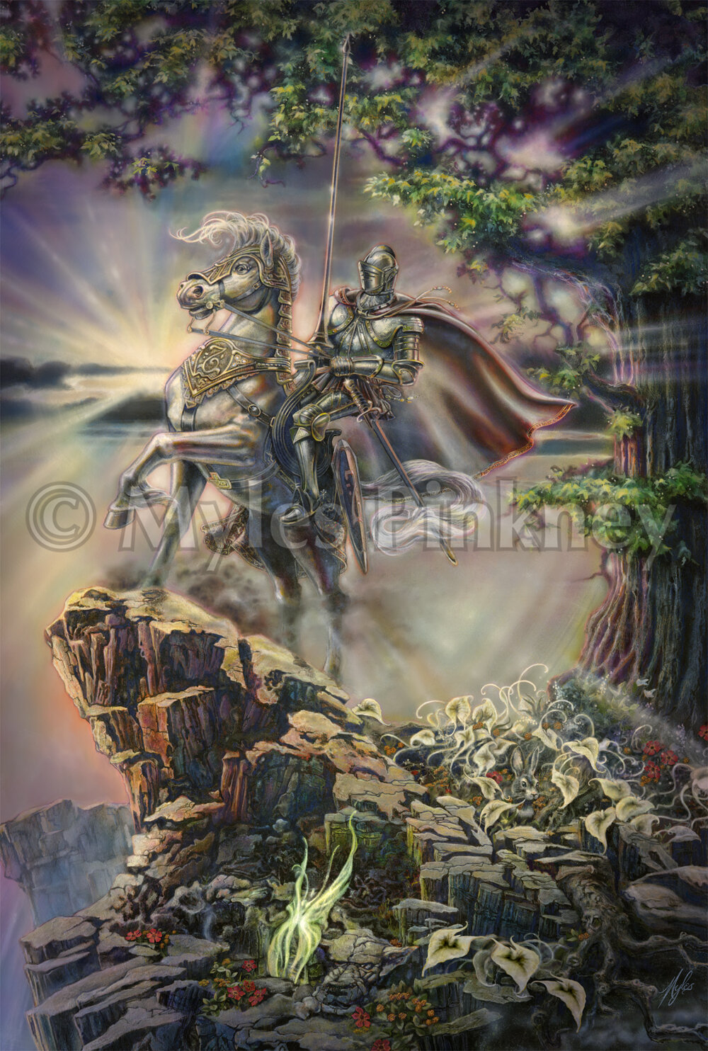 The Knight