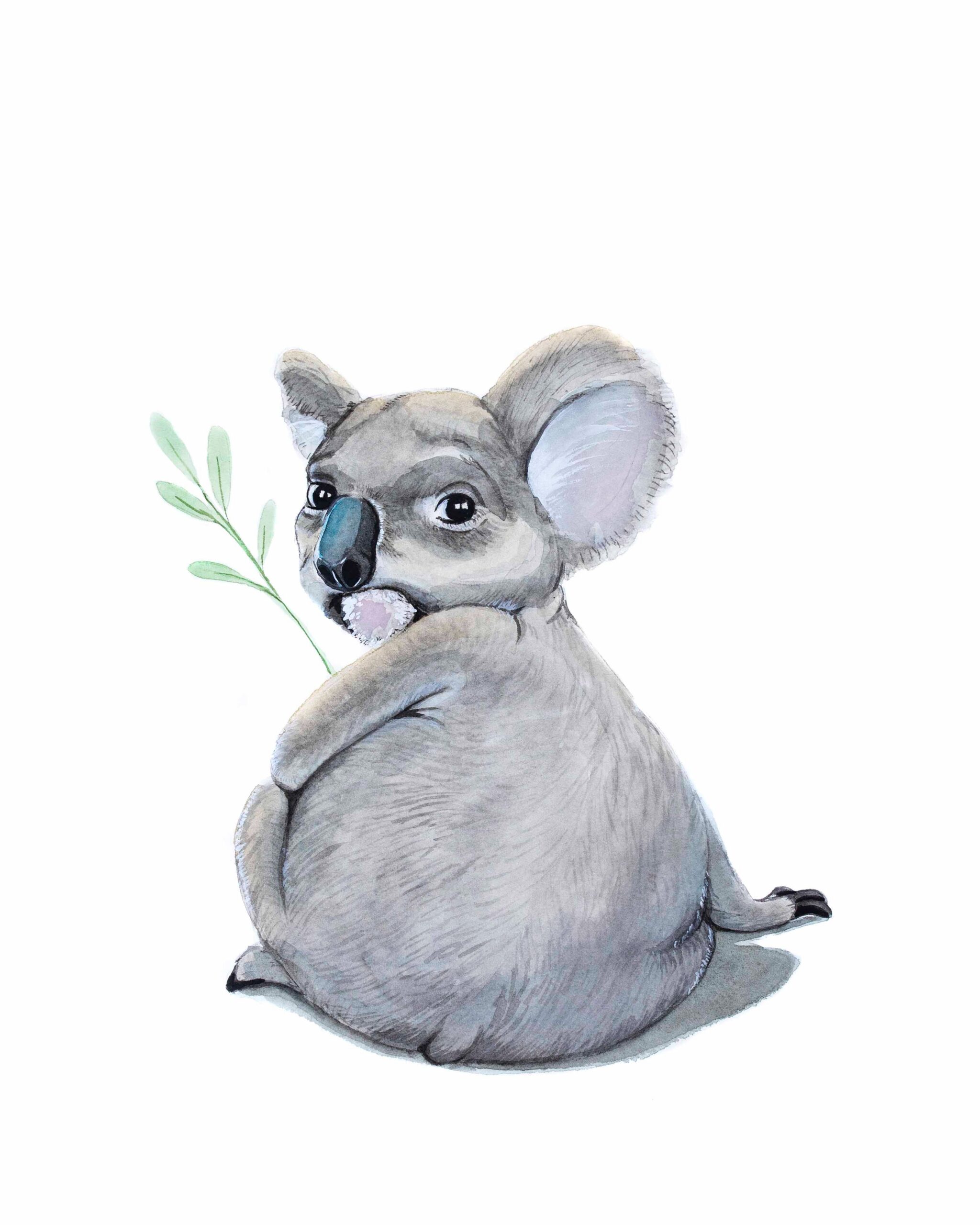 Koala Butt