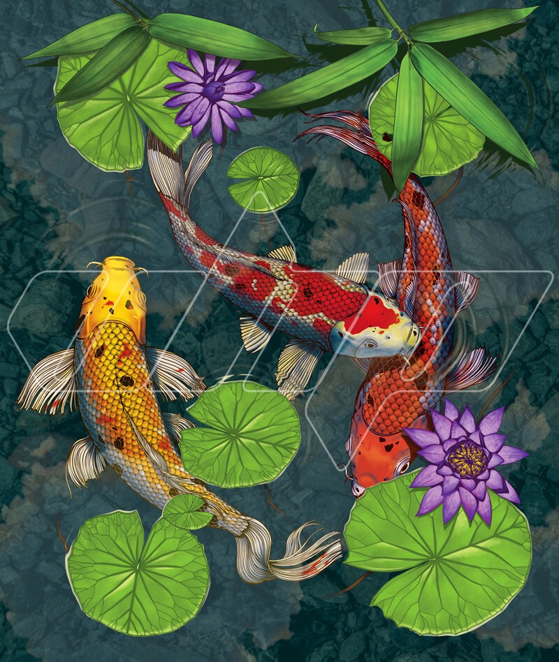 Koi Fish