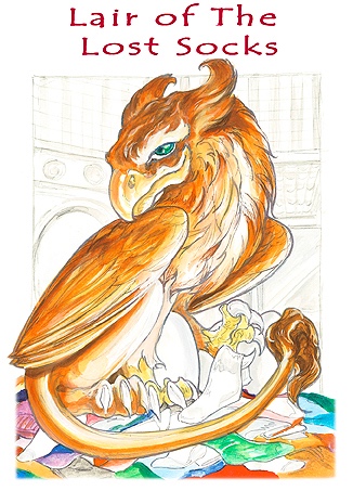 Lair of the Lost Socks