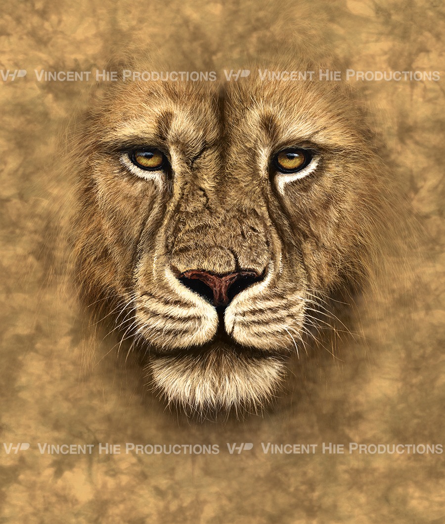 Lion Big Face