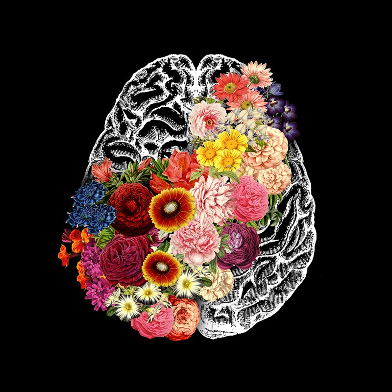 Love Your Brain