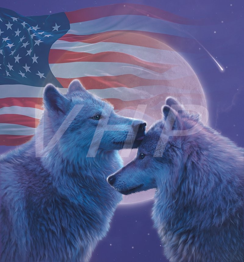 Loving Wolves USA