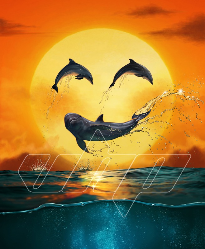Dolphin’s Smile
