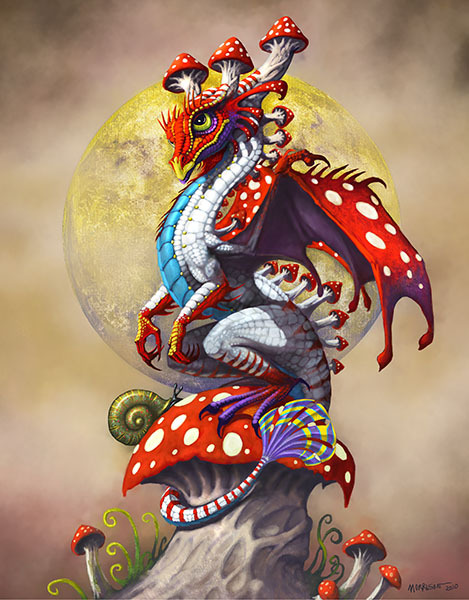 MUSHROOM DRAGON