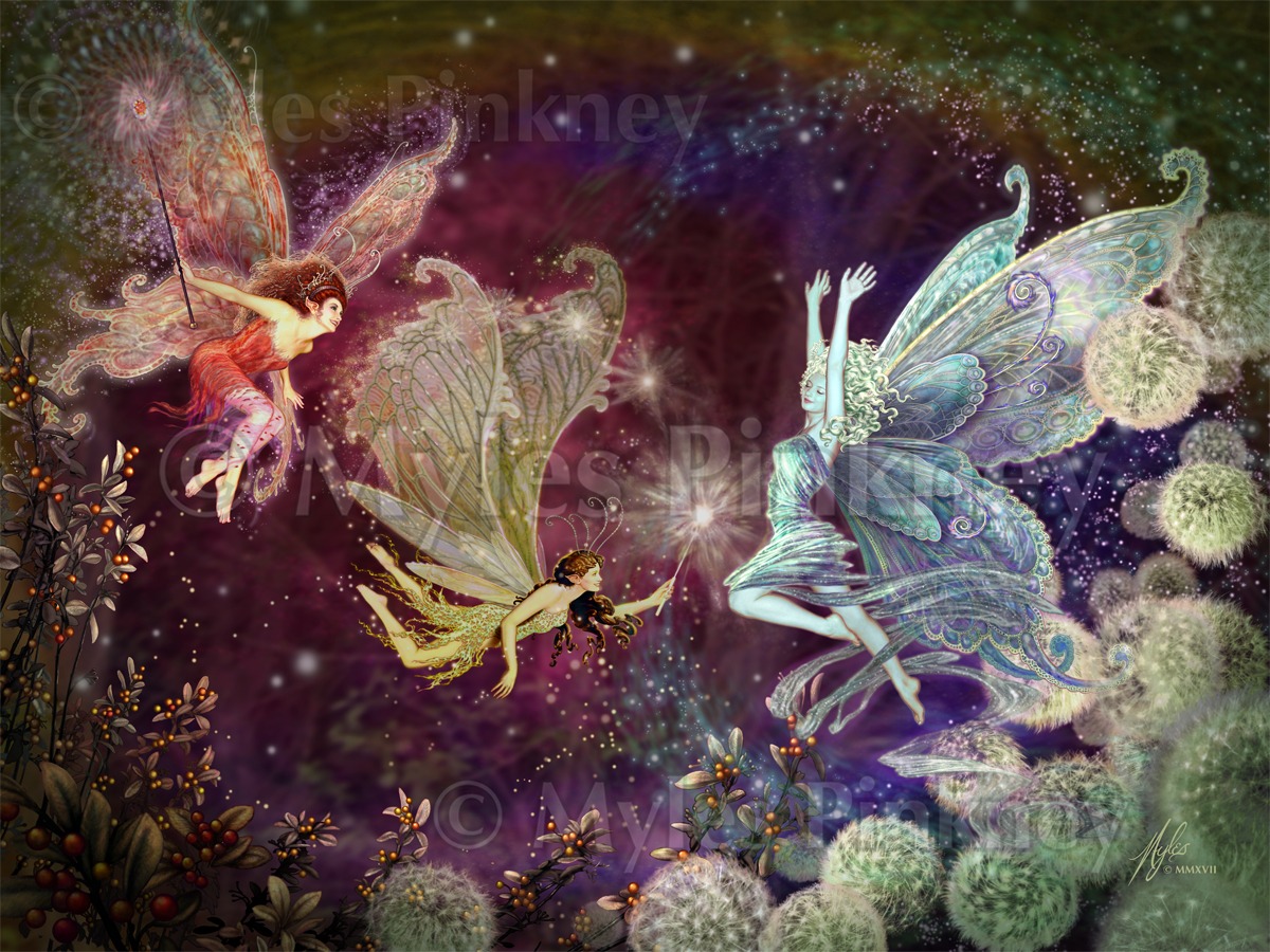 Midnight Fairies