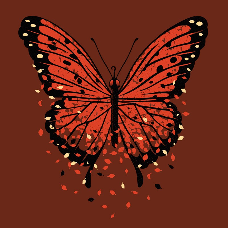 Monarch Butterfly Autumn Leaves
