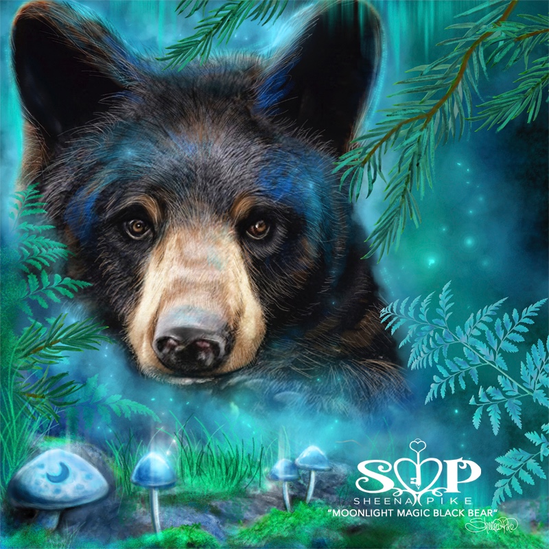Moonlit Magic Black Bear