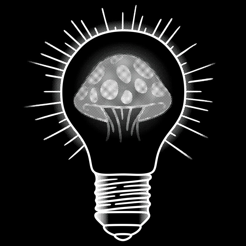 Mushroom Enlightenment