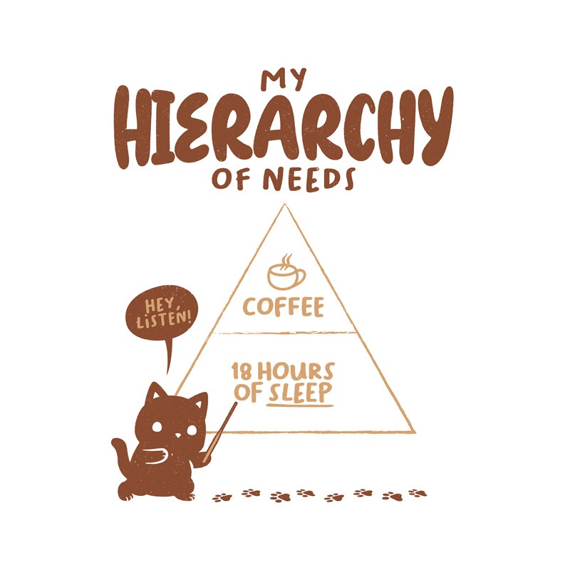 My Hierarchy Of Needs Funny Cat