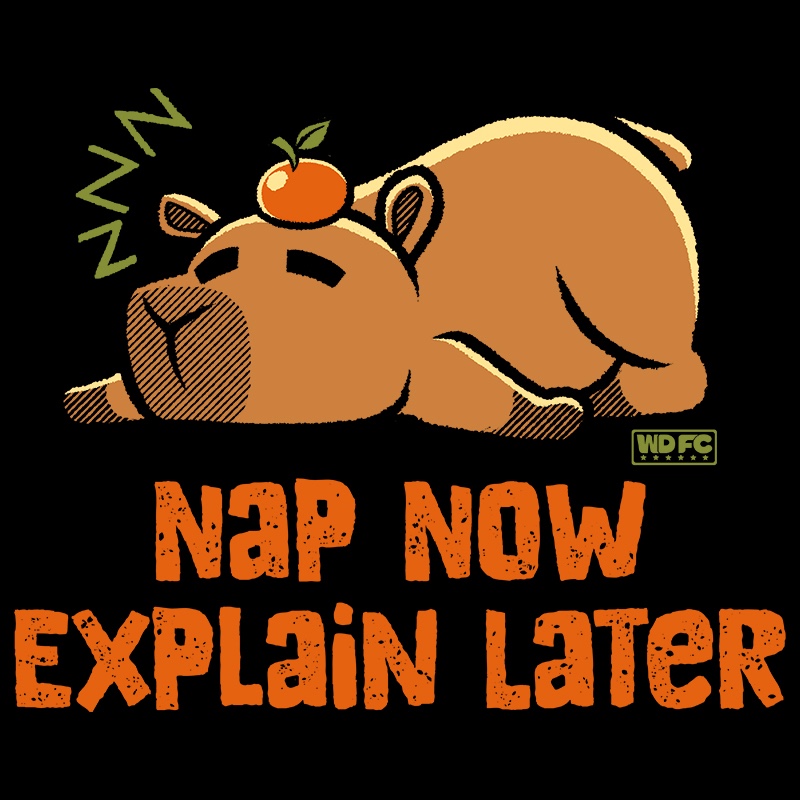 Nap Now, Explain Later