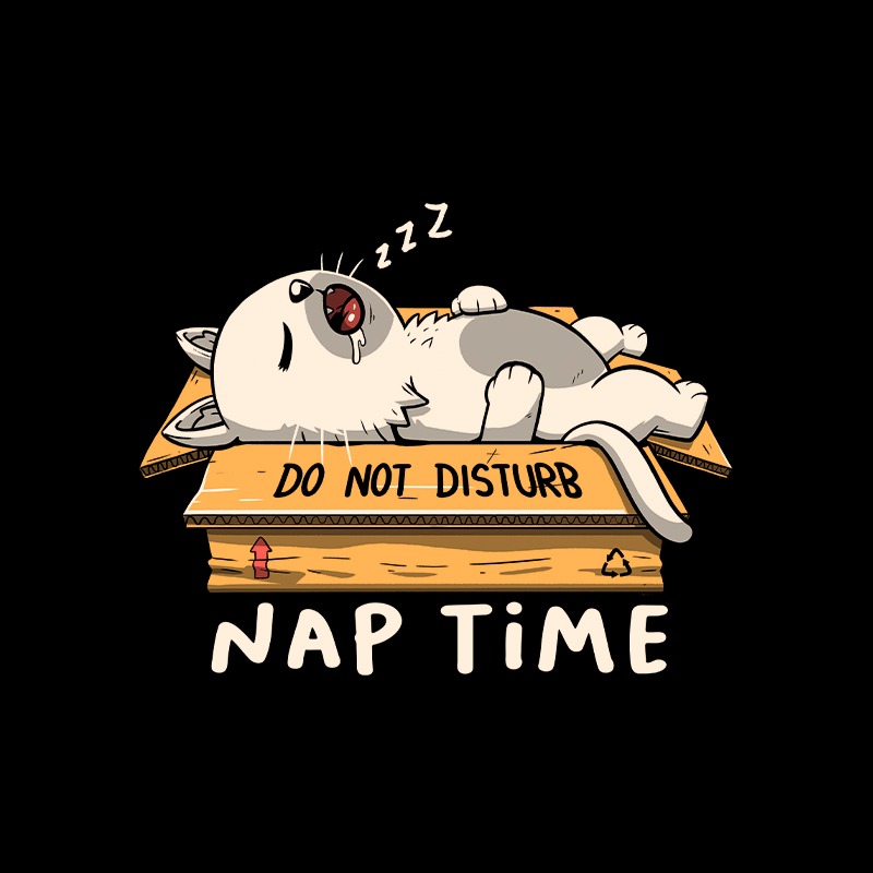 Nap Time Do Not Disturb