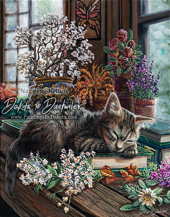 Napping Kitten