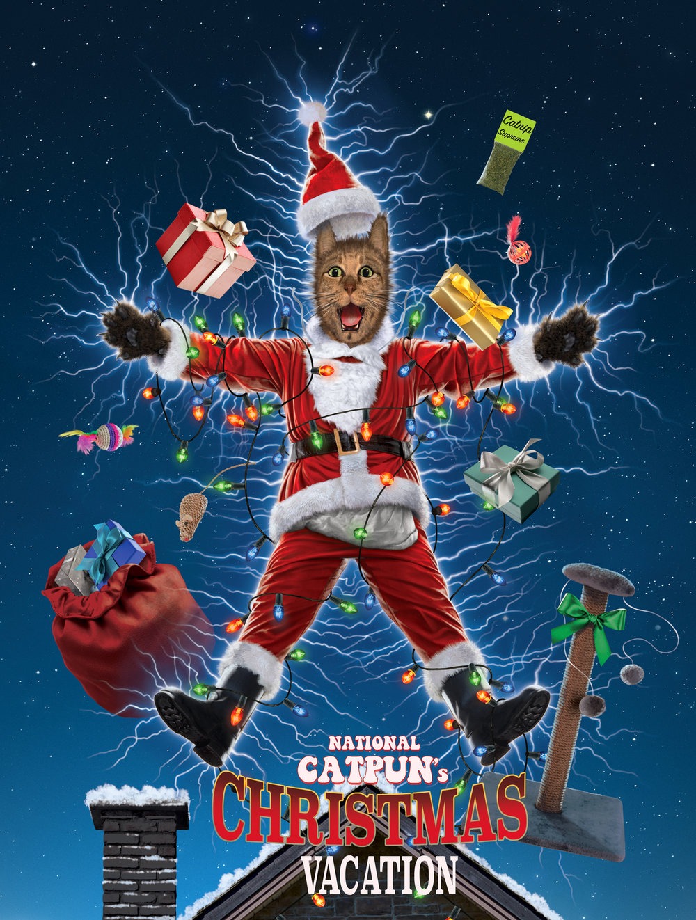 National Catpun’s Christmas Vacation