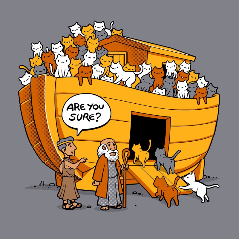 Noah’s Ark Cat